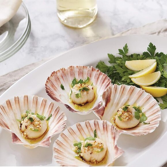 NWOT Set of 4 Nantucket Seafood Natural Baking Sea Shells 4.5" - 5" - Picture 3 of 15